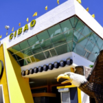 Las Aguilas reciben este sábado a los Leones en el Estadio Cibao en el inicio del Round Robin