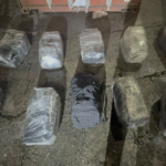 La DNCD ocupa 251 paquetes de cocaína en el puerto de Haina que serían enviados a Puerto Rico
