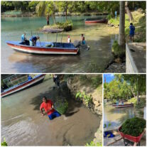 ACUÁTICA realiza jornada de limpieza en la Laguna Gri-Grí