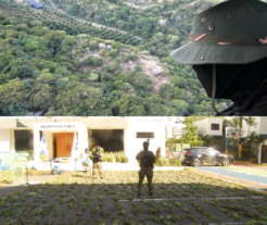 La DNCD desmantela extensa plantación de marihuana en Peravia; ocupan 1,835 matas de hasta 2 metros de altura