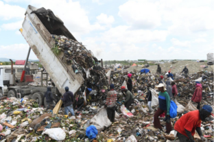 Comisión de Duquesa niega que carne podrida y medicina incautadas en el mercado provenga del vertedero