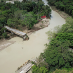 Aumentan a 30,500 los desplazados y 14 comunidades incominicadas por las lluvias; reportan colapsode puente en MTS