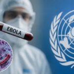 Aeropuertos específicos en EE.UU. para recibir pasajeros de países afectados por ébola; por ellos viajan dominicanos
