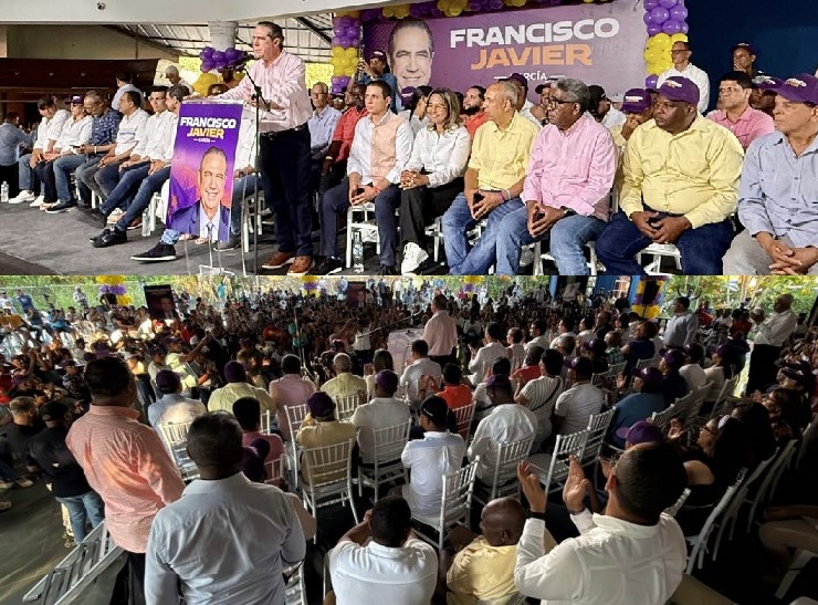 Francisco Javier dice el PLD necesitará de un 