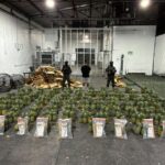 La DNCD incauta en el AILA 121 láminas de cocaína ocultas en un cargamento de piñas