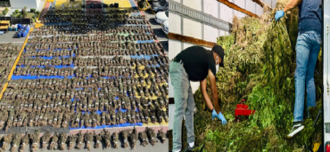 La DNCD desmantela en Ocoa 15 mil plantas de marihuana; la mayor plantación del vegetal ocupada en la historia de RD