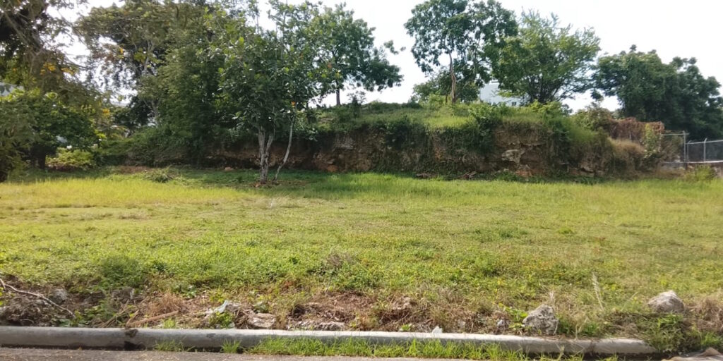 Denuncian desórdenes nocturnos y envenenamiento de mascota en sector Santa Lucía de Río San Juan
