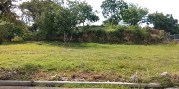 Denuncian desórdenes nocturnos y envenenamiento de mascota en sector Santa Lucía de Río San Juan