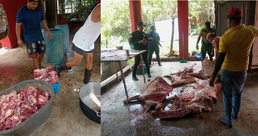 Decomisan cientos de libras de carne en estado de descomposición en matadero clandestino desmantelado en Río San Juan