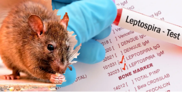 Autoridades de Salud RD registran 14 fallecidos por leptospirosis en 2026; pacientes infectados suman 179 con 314 casos sospechosos