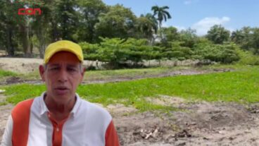 Denuncian quema de manglares en la zona del rompeolas de Gaspar Hernandez