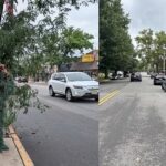 Policía en NJ con traje de arbusto de hojas falsas sorprende a 74 conductores distraido con sus telefonos celulares