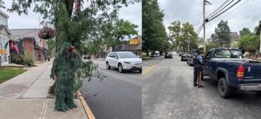 Policía en NJ con traje de arbusto de hojas falsas sorprende a 74 conductores distraido con sus telefonos celulares