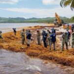 Turismo despliega amplio operativo para retirar sargazo de Playa Rincón en Samaná