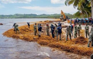 Turismo despliega amplio operativo para retirar sargazo de Playa Rincón en Samaná