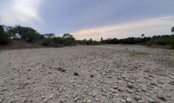 Sequía amenaza producción agrícola y ganadera municipios de la parte oeste de Puerto Plata; baja caudal río Bajabonico
