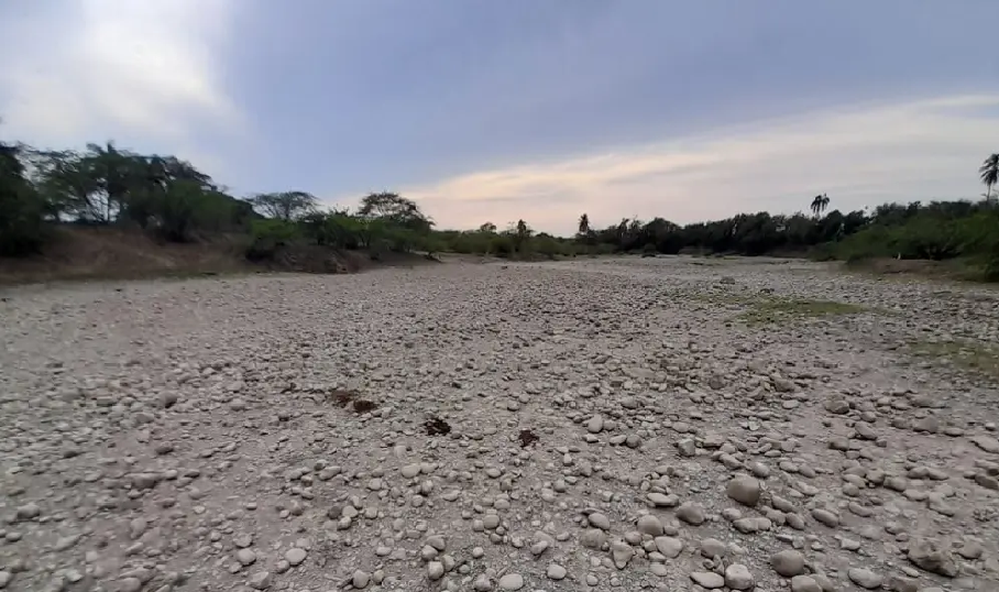 Sequía amenaza producción agrícola y ganadera municipios de la parte oeste de Puerto Plata; baja caudal río Bajabonico