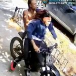Escuadrón detectives NYPD persigue ladrones apuñalaron policía del precinto 44; dominicanos sirven en ese cuartel