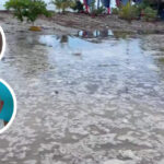 En Gaspar Hernández, el mar entró 